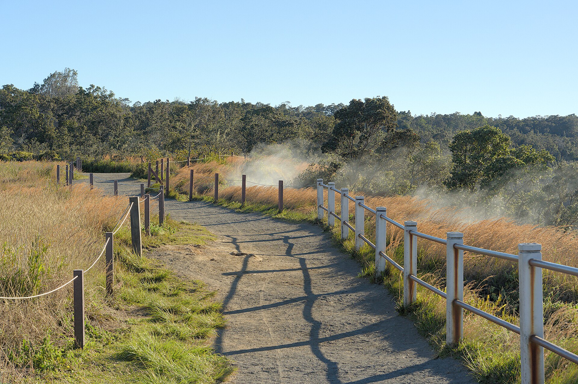 Steam near the Crater Rim Trail in Hawaii Volcanoes National Park.