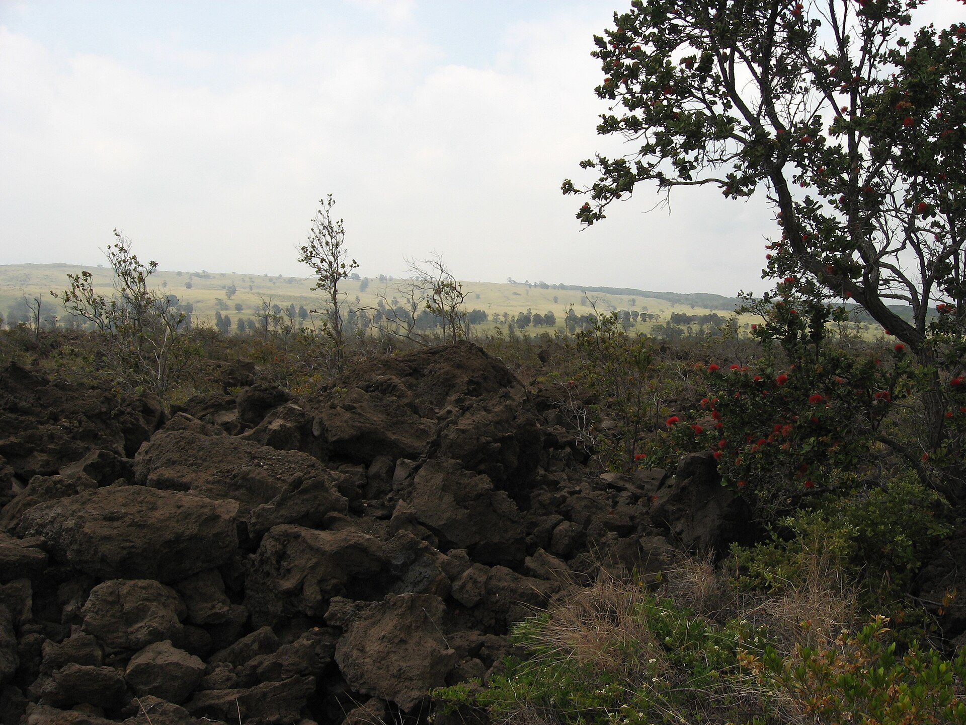 Volcanic terrain near Hawaii Volcanoes National Park; activity and access change.