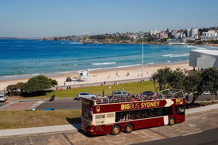סיור Big Bus בסידני ובבונדי עם עלייה וירידה חופשיות ואפשרות לשייט